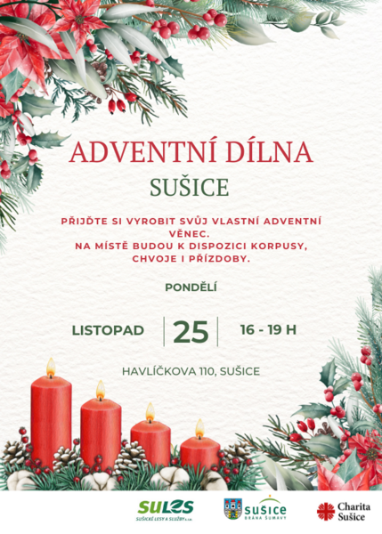 advent 2024 (5)