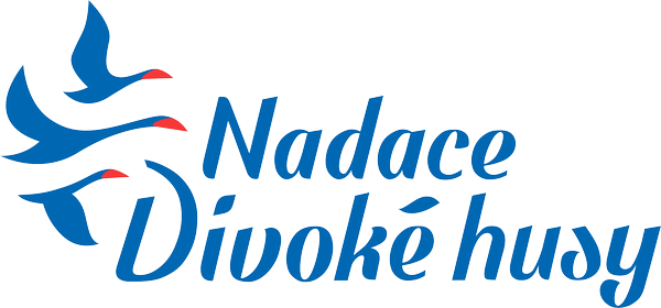divoké husy divoké husy